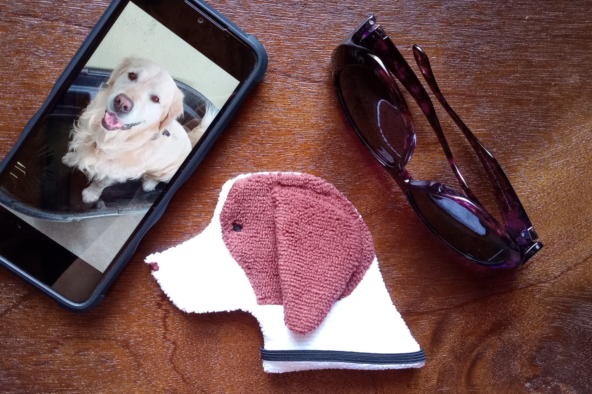 Smudge Dog with smart phone and glasses.