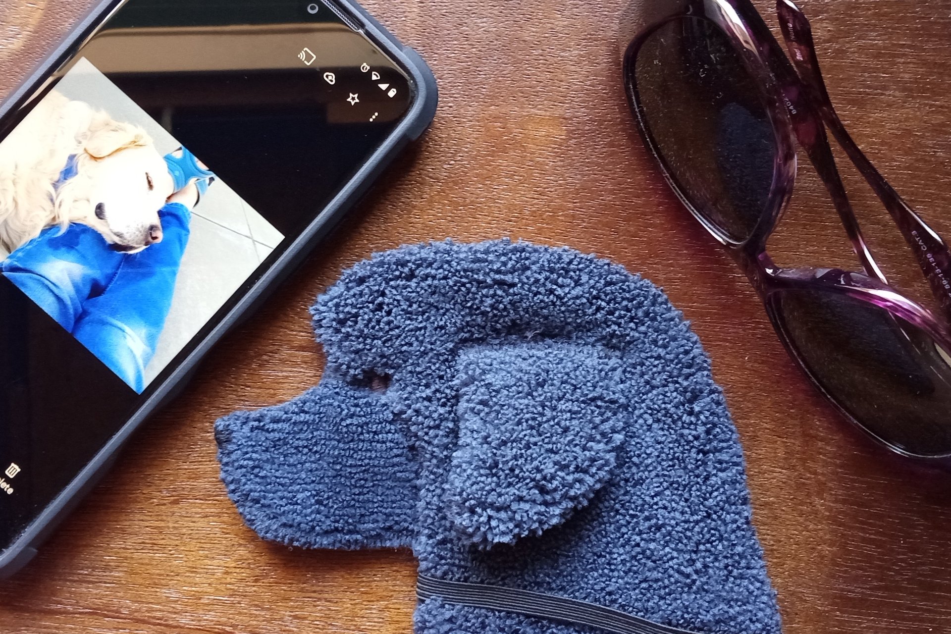Smudge Dog with cell phone and glasses, two of the many items it can clean