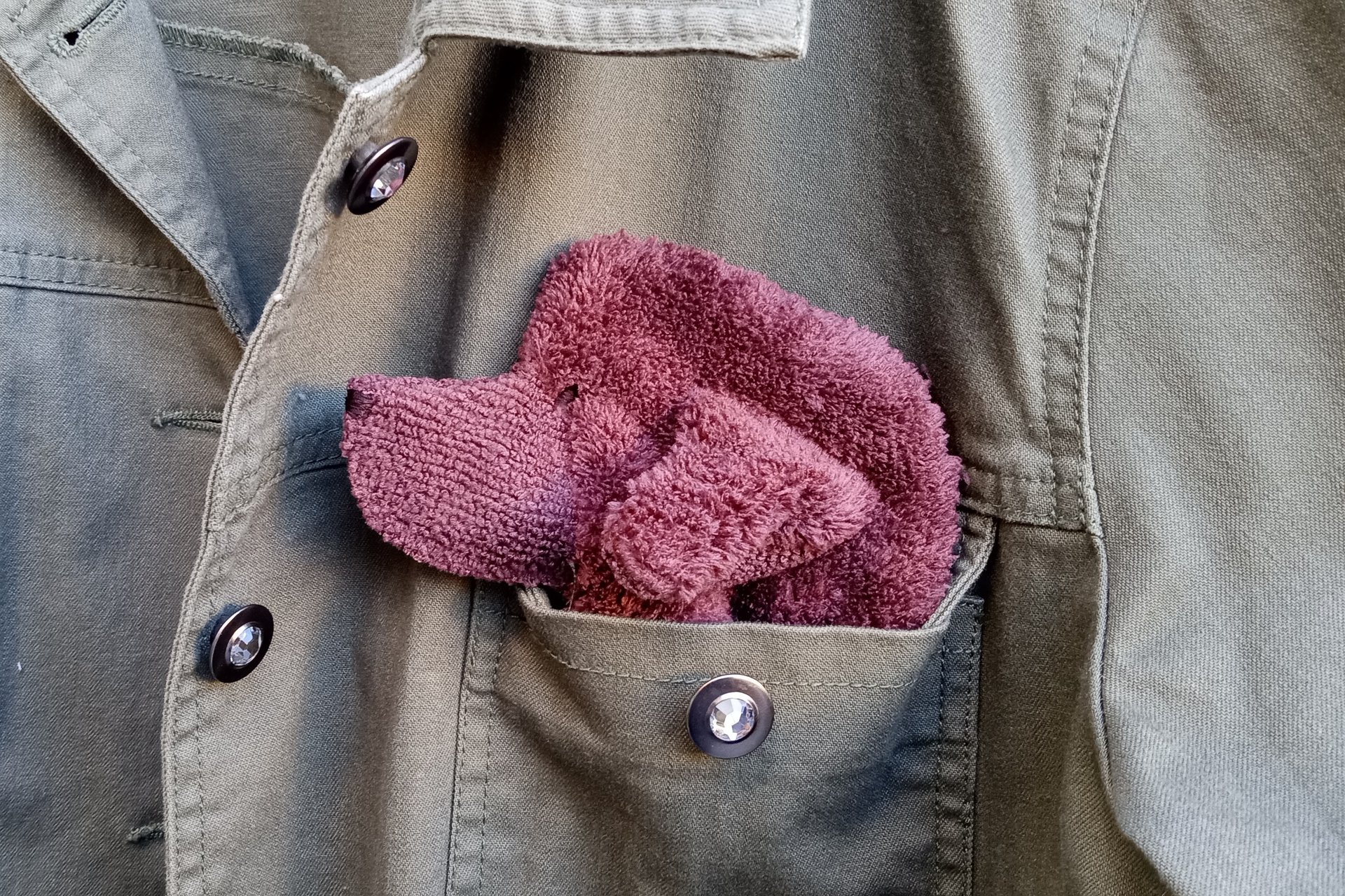 Smudge Dog peeking out of jean jacket pocket