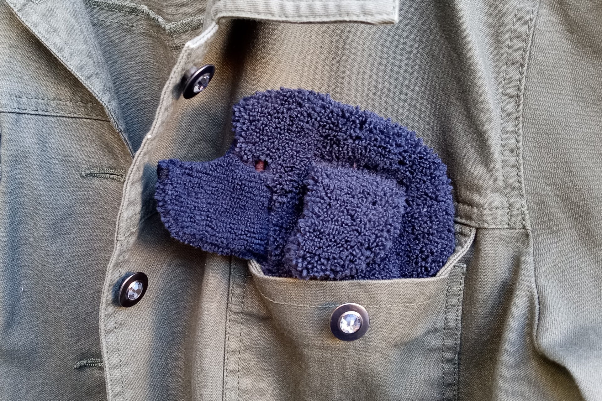 Smudge dog peeking out of the pocket of a jean jacket