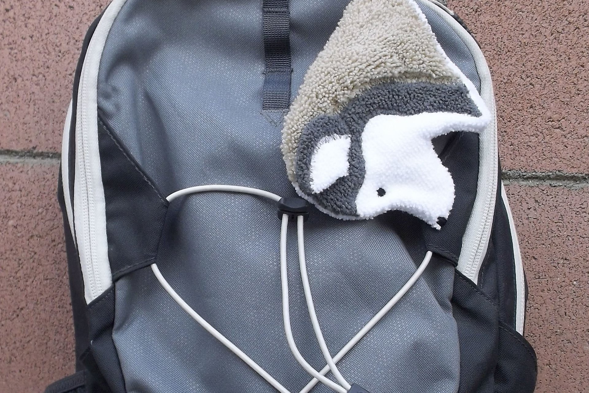 Smudge dog attached to backpack with elastic loop.