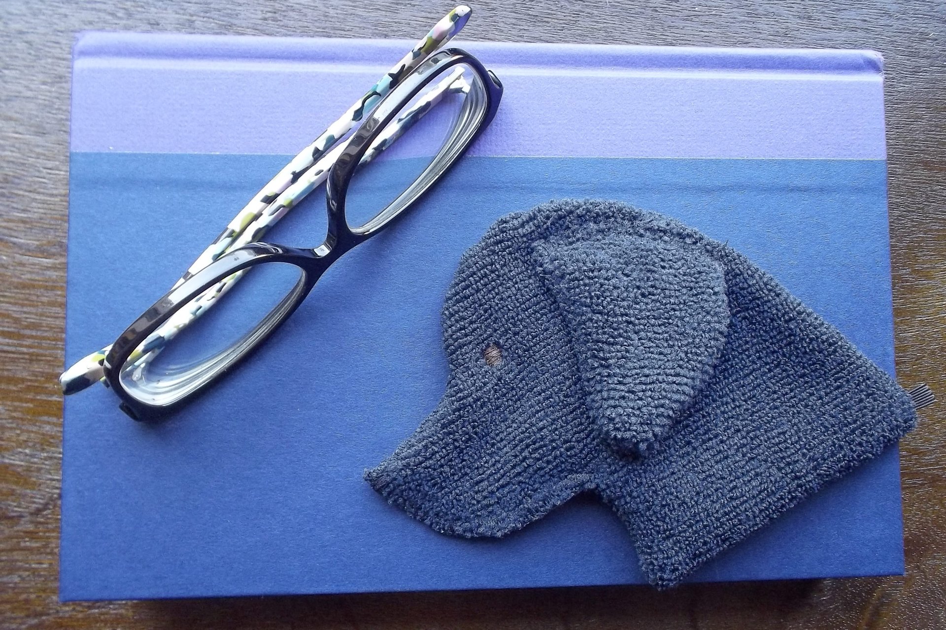 Black Labrador used as a bookmark.