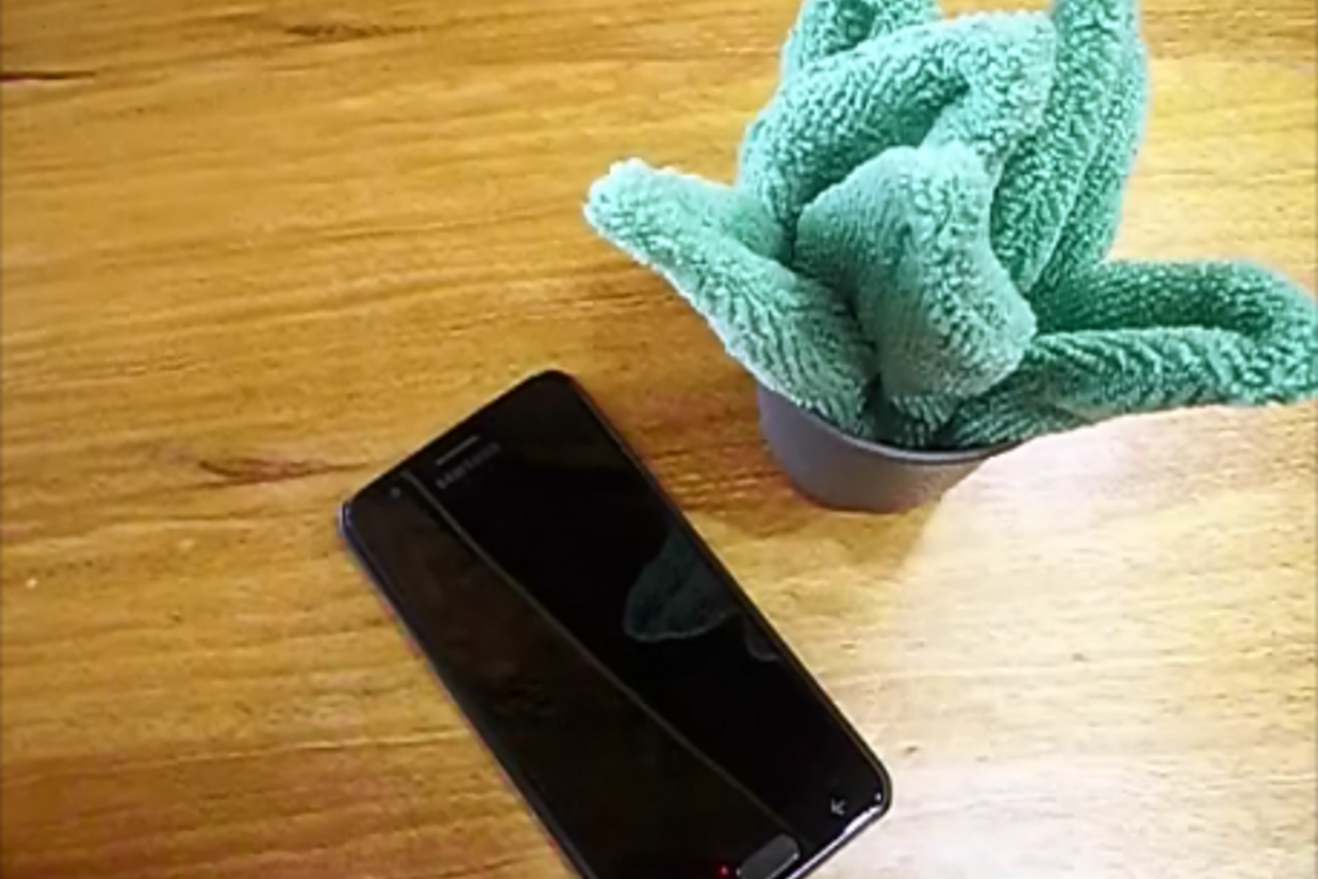 Smudge Plant in use