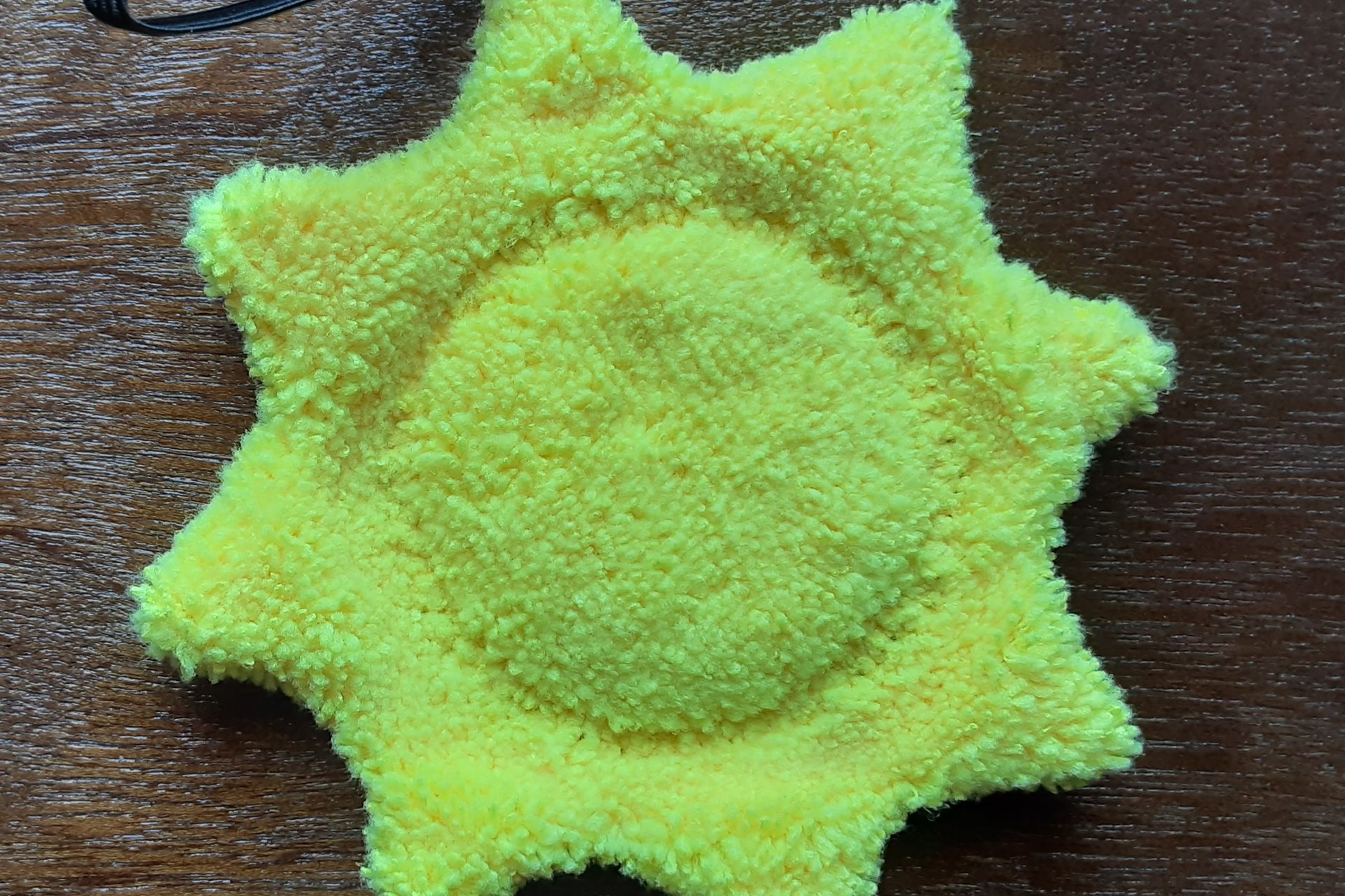 Back of Sunflower. Solid yellow color.