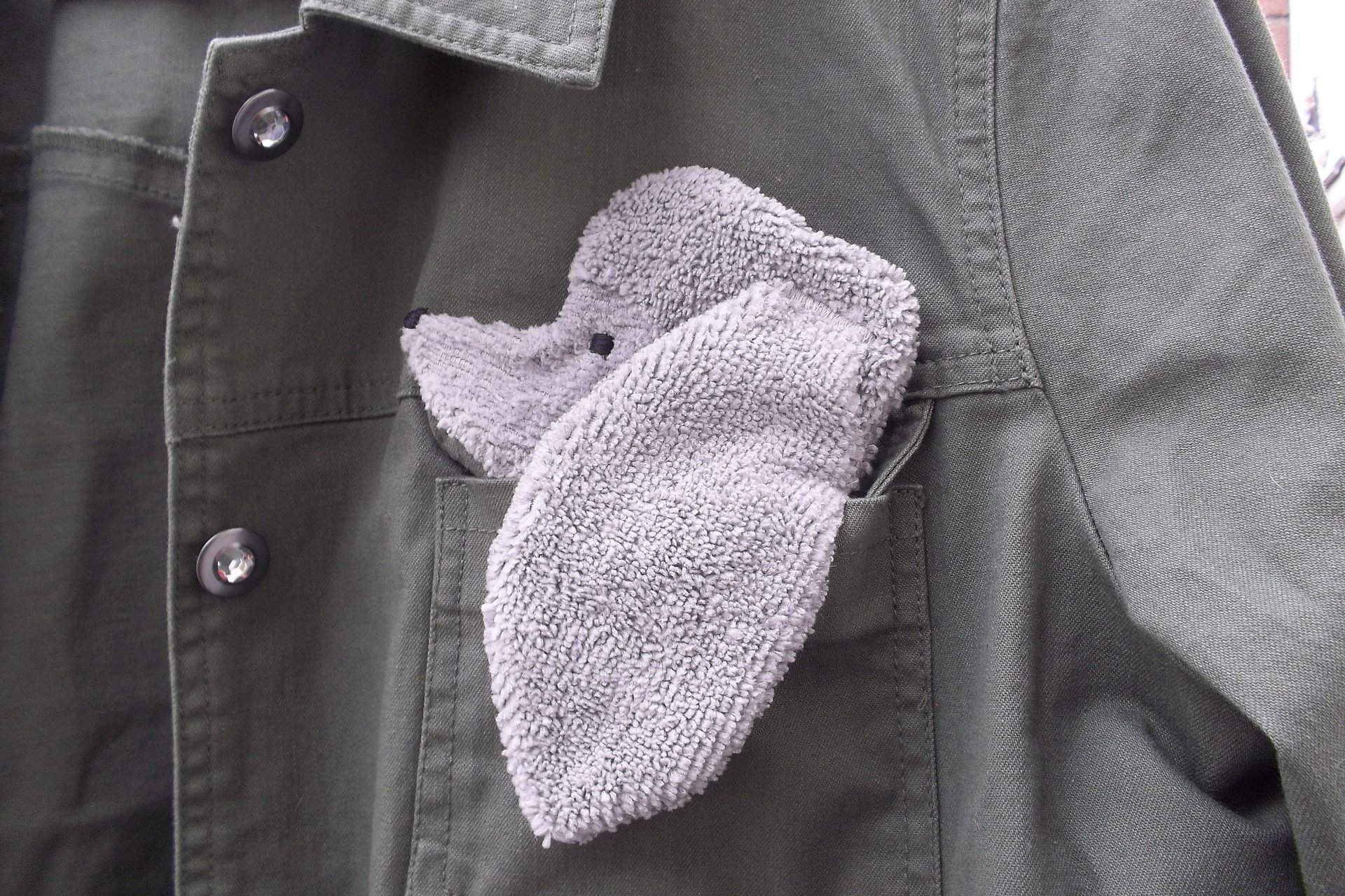 Smudge Dog peeking out of a pocket of a jean jacket.