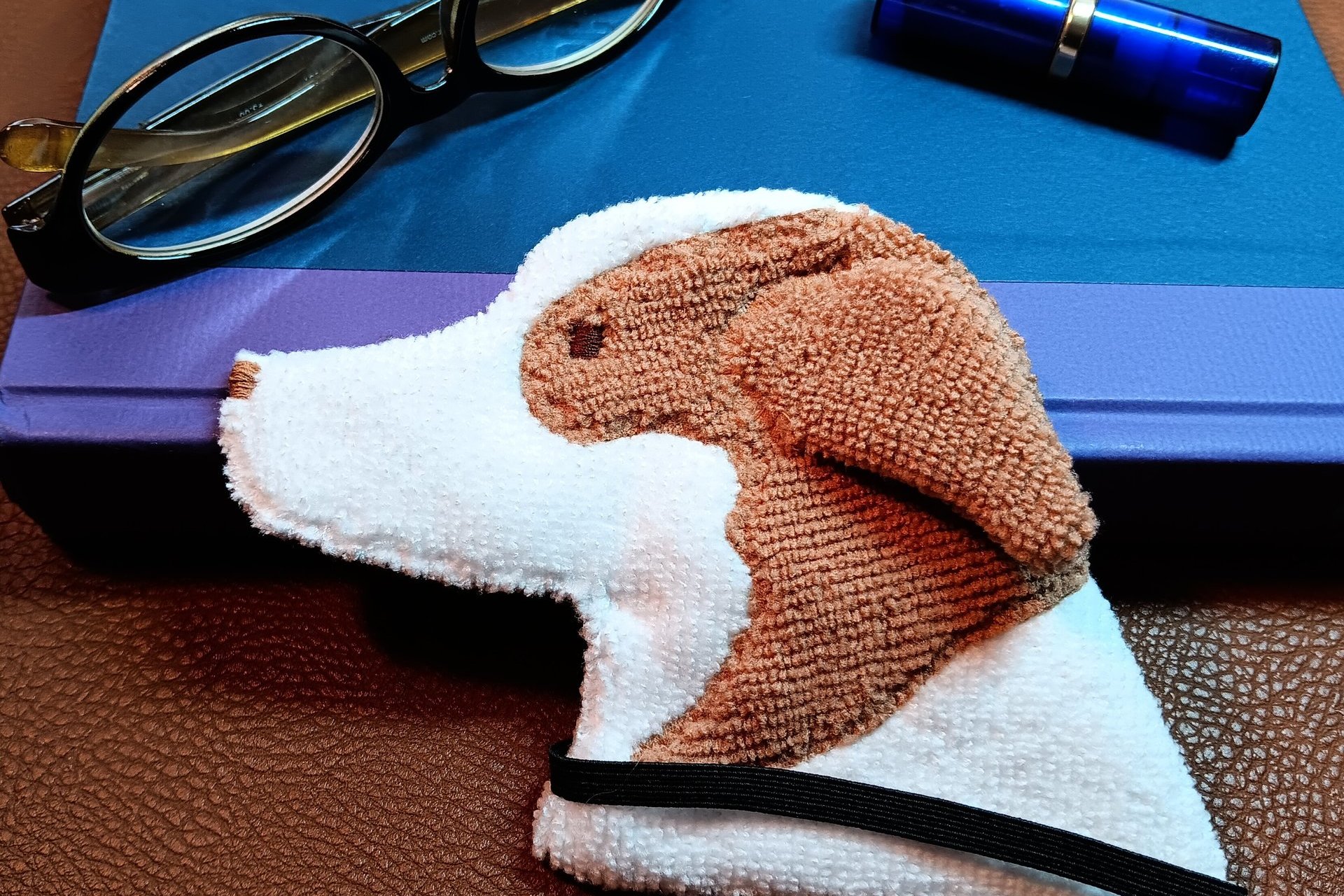 Australian Shepherd Smudge dog waiting to be used as a bookmard shown with a book, glasses, and a lipstick