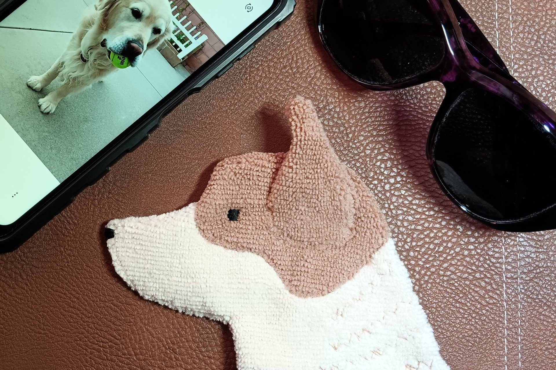 Showing scale of Smudge Dog with two of the many items it can clean and polish: smart phone and eye glasses.