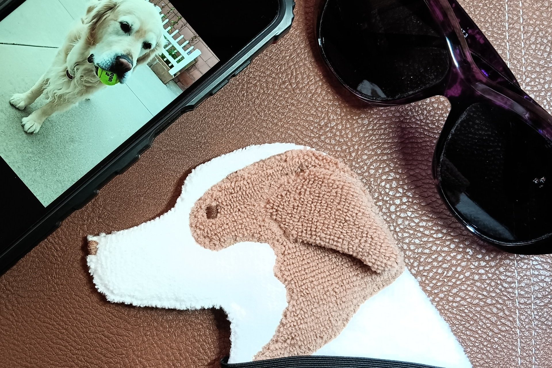 Showing scale of Smudge Dog with two of the many items it can clean and polish: smart phone and eye glasses.