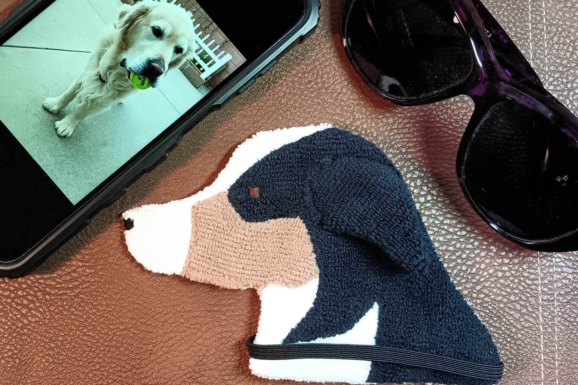 Showing scale of Smudge Dog with two of the many items it can clean and polish: smart phone and eye glasses.