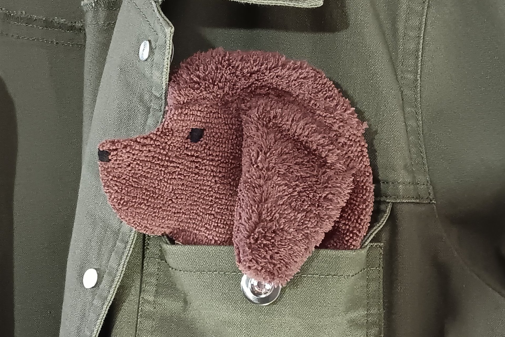 Smudge Dog peeking out of the pocket of a jean jacket