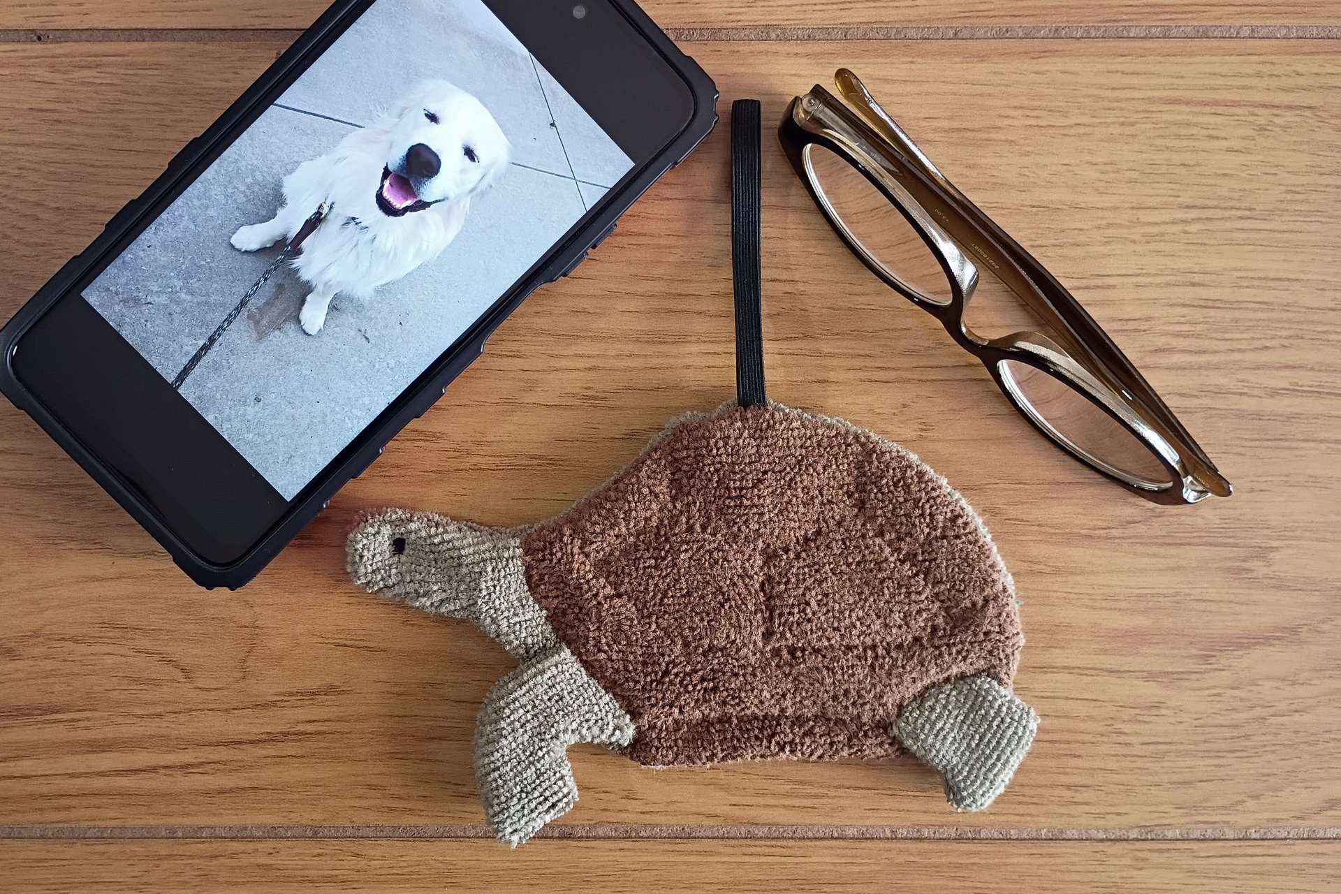 Smudge Pet: Turtle-Tortoise Covert Cleaning Cloth