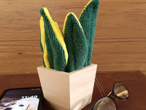 Deluxe Smudge Plant in Wooden Pot, Multipurpose Microfiber Cleaning Cloth